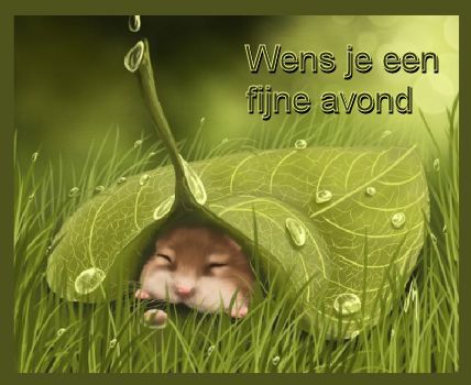 fijne avond.jpg